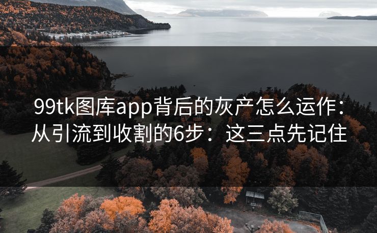 99tk图库app背后的灰产怎么运作：从引流到收割的6步：这三点先记住
